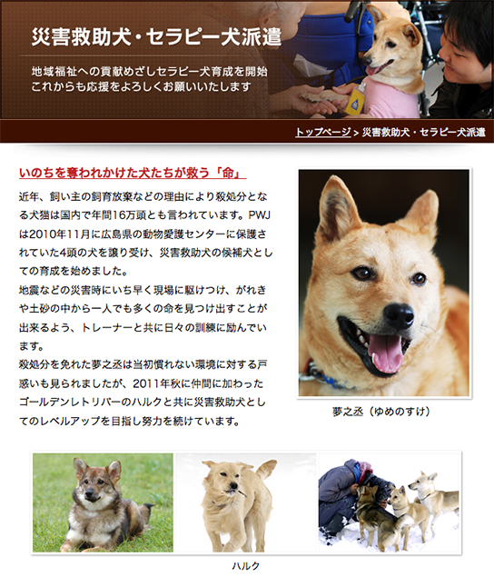 犬を救うということ。犬を譲渡するということ（2）ーーーピースワンコ・ジャパンが語る、犬の保護譲渡活動