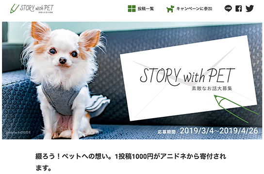 あなたと愛犬の「お話」を送るだけで、1000円が寄付される。愛犬への思いを書いて、写真を添えてアニドネに送ろう